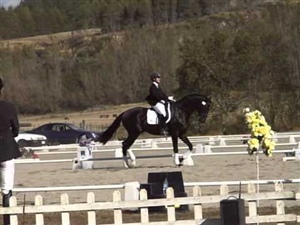 Vollrath Lessing - NZ National Young Dressage Champion 2008