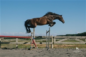 Appleton DHU nobody can deny his jumping ability