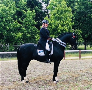 Donnerubin - Second season Grand Prix - 2018-19 season