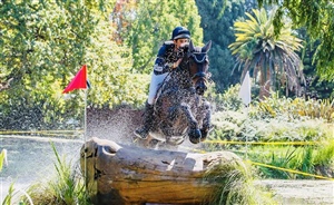 Progeny - Ricker Ridge Riley - Donnerubin x Rotspon/Contango II mare - 2017 Young Event Horse Champion, this pic - HOYS CCI3* eventing class with guest rider Jock Padgent