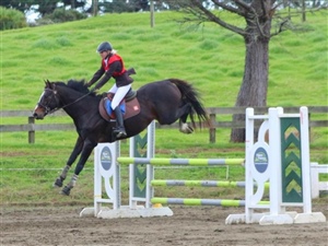 Show jumping in the 1.0m class