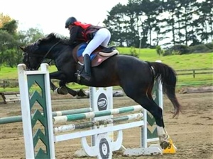 Competing in his first 1.0m class